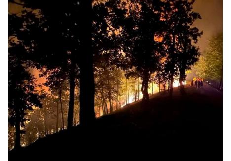 sursa foto: Facebook / Meteo Tulca-Bihor