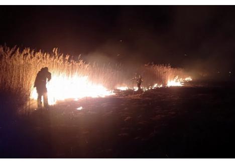 Unul din incendiile de vegetație uscată a avut loc, duminică seară, în Toboliu. Flăcările au fost atât de înalte, că s-au văzut de la etajele superioare ale blocurilor din Ioșia (foto: ISU Crișana)