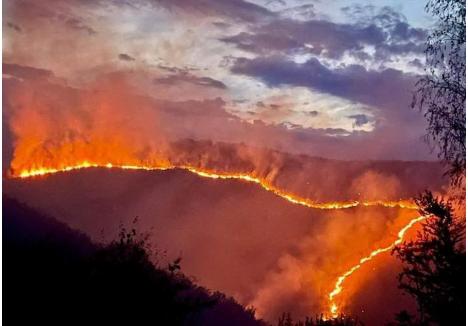 Incendiul care a avut loc în luna iulie pe Valea Aleului, din Munții Apuseni, a pornit după ce un stâlp de electricitate, din lemn, s-a prăbușit la pământ