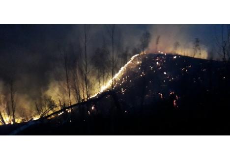 Pompierii au luptat aproape o săptămână pentru a stinge uriaşul incendiu provocat de un iresponsabil care, cel mai probabil, a dat foc la vegetaţia uscată