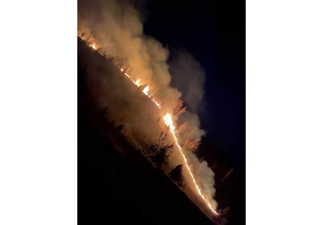 Incendiul din aproapierea Mănăstirii Izbuc (foto: Dumitraş Horia Claudiu)