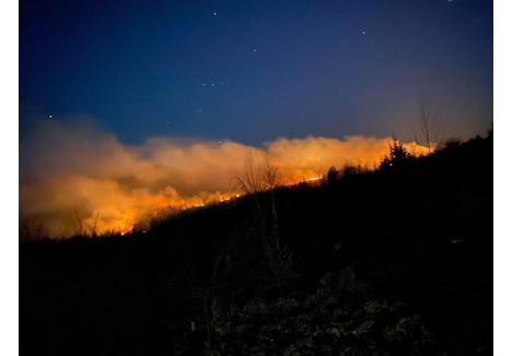 Incendiul din aproapierea Mănăstirii Izbuc (foto: Dumitraş Horia Claudiu)