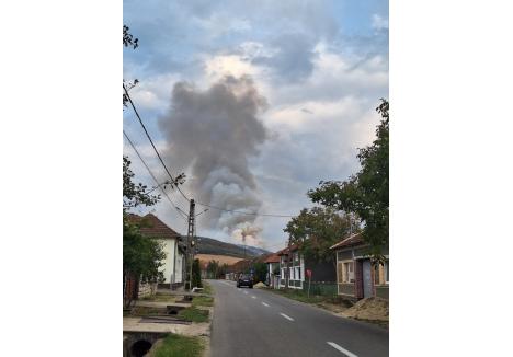 (Sursa foto: grupul de Facebook Holod (Vintere, Lupoaia, Forosig, Hodiș, Dumbrăvița, Dumbrava, Valea Mare) - Roxana Șutac)