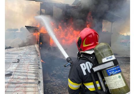 foto: isu crisana