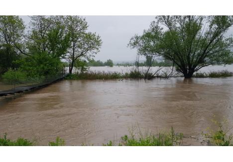 Hectare întregi de terenuri au fost inundate şi în satul bihorean Petrani (foto: Dan Popa)