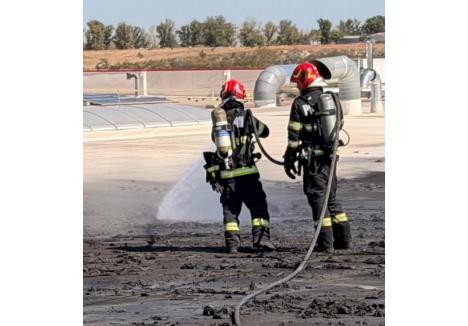(foto: ISU Crișana)