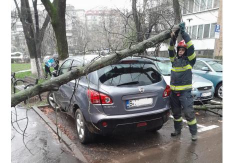 Pompierii au intervenit joi, după ce o creangă de mari dimensiuni a căzut peste mașini într-o parcare din Oradea (foto: ISU Crişana)