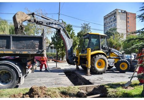 Foto: Szilágyi Lóránd / BIHOREANUL