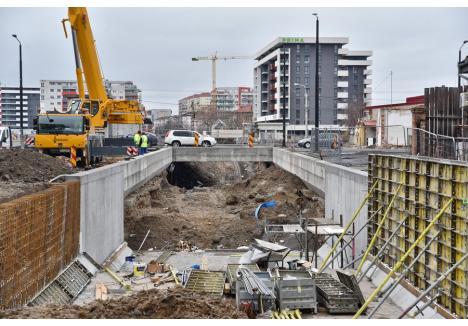 Foto: Szilágyi Lóránd / BIHOREANUL