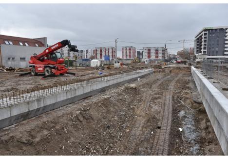 Foto: Szilágyi Lóránd / BIHOREANUL