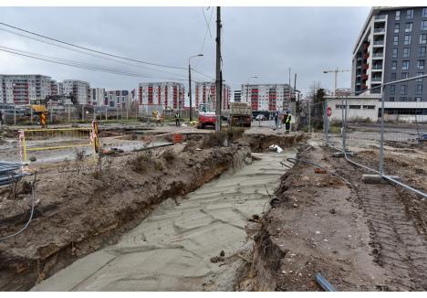 Foto: Szilágyi Lóránd / BIHOREANUL