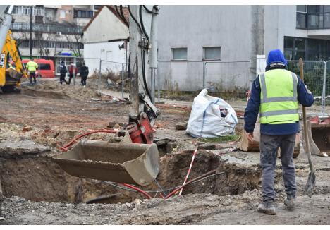 Foto: Szilágyi Lóránd / BIHOREANUL