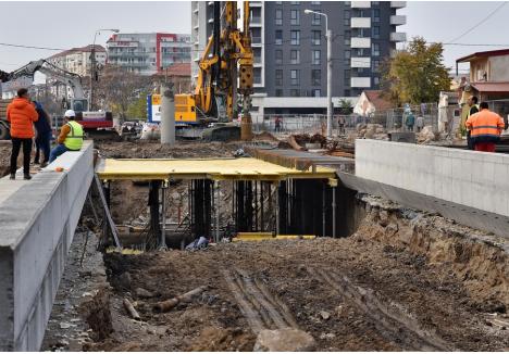 Foto: Szilágyi Lóránd / BIHOREANUL