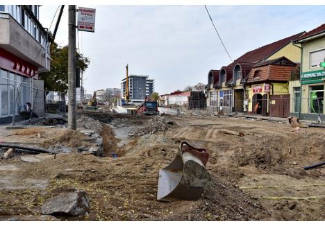 Foto: Szilágyi Lóránd / BIHOREANUL