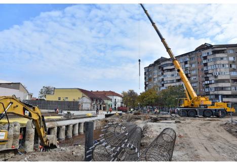 Foto: Szilágyi Lóránd / BIHOREANUL