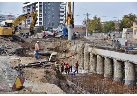 Foto: Szilágyi Lóránd / BIHOREANUL