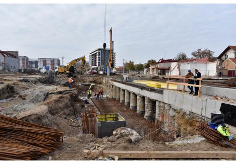 Foto: Szilágyi Lóránd / BIHOREANUL