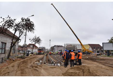 Foto: Szilágyi Lóránd / BIHOREANUL