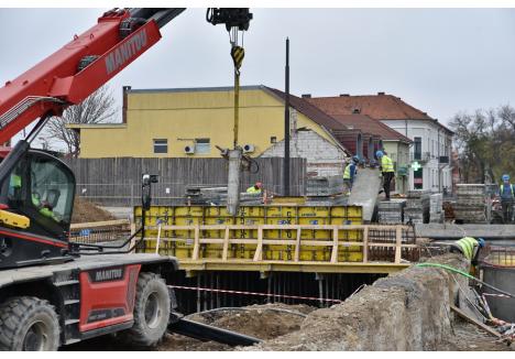 Foto: Szilágyi Lóránd / BIHOREANUL