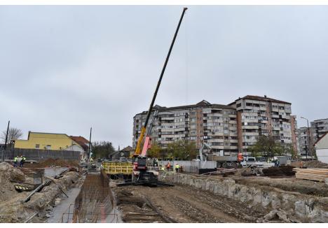 Foto: Szilágyi Lóránd / BIHOREANUL