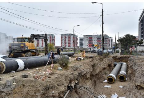 Foto: Szilágyi Lóránd / BIHOREANUL