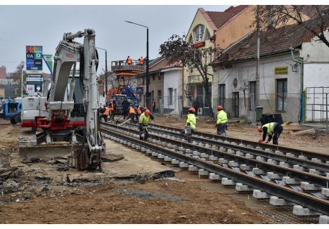 Foto: Szilágyi Lóránd / BIHOREANUL