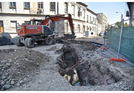 Foto: Szilágyi Lóránd / BIHOREANUL