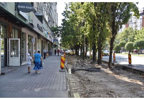 Foto: Szilágyi Lóránd / BIHOREANUL