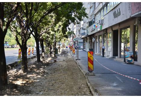 Foto: Szilágyi Lóránd / BIHOREANUL