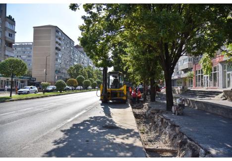 Foto: Szilágyi Lóránd / BIHOREANUL