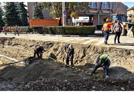 Foto: Szilágyi Lóránd / BIHOREANUL