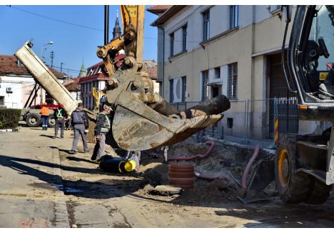 Foto: Szilágyi Lóránd / BIHOREANUL