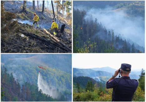 Foto: Paul Lelea / BIHOREANUL