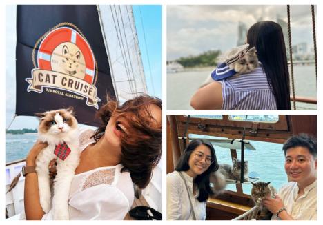 (sursa foto: Cat Cruise Singapore/Facebook)
