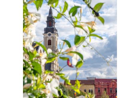 sursa foto: Facebook / Visit Oradea