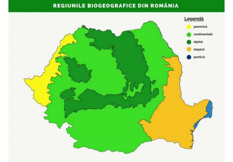 Regiunile biogeografice din România | Asociația “Grupul Milvus”