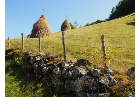 Căpițe de fân la Roșia Montană | Foto: Laura Turdean