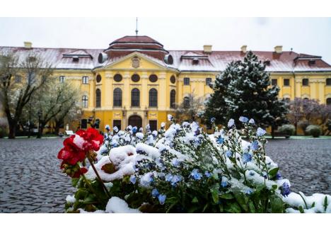 sursa foto: Episcopia Romano-Catolică Oradea / Facebook