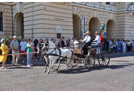 Foto: Szilágyi Lóránd / BIHOREANUL