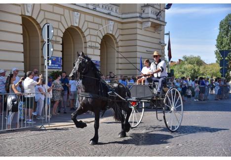 Foto: Szilágyi Lóránd / BIHOREANUL