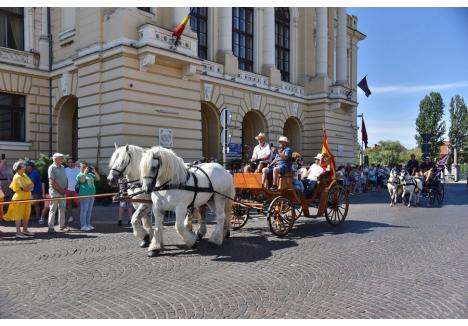 Foto: Szilágyi Lóránd / BIHOREANUL