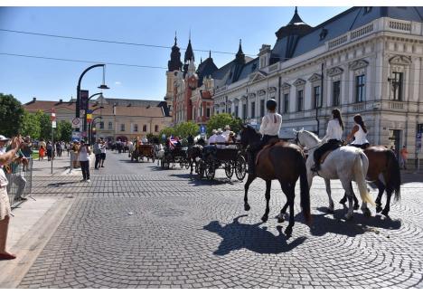 Foto: Szilágyi Lóránd / BIHOREANUL
