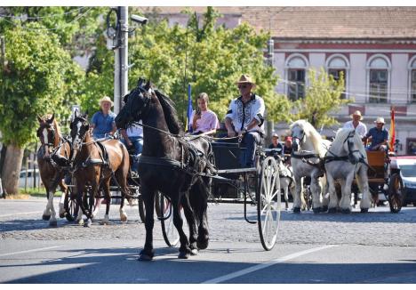 Foto: Szilágyi Lóránd / BIHOREANUL