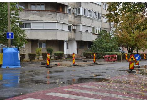 Foto: Szilágyi Lóránd / BIHOREANUL