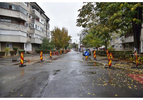 Foto: Szilágyi Lóránd / BIHOREANUL