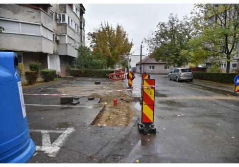 Foto: Szilágyi Lóránd / BIHOREANUL