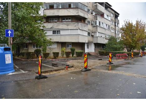 Foto: Szilágyi Lóránd / BIHOREANUL