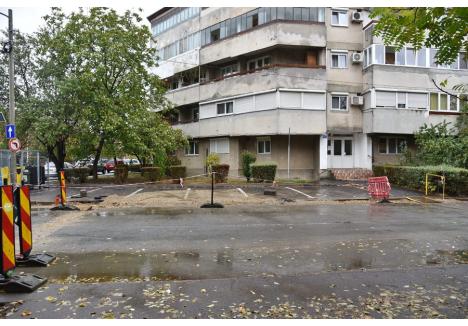 Foto: Szilágyi Lóránd / BIHOREANUL