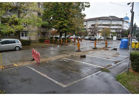 Foto: Szilágyi Lóránd / BIHOREANUL