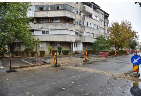 Foto: Szilágyi Lóránd / BIHOREANUL